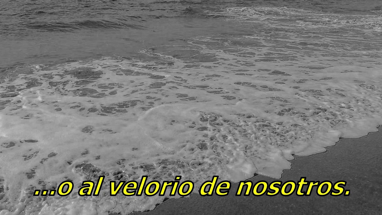 Yo La Tengo Can't (Español) YouTube