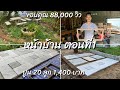 ปรับปรุงหน้าบ้าน ตอนที่1 สวนหิน ทำอิฐทางเดินด้วยตัวเอง ซื้อปูน 20 ลูก 1,400 บาท พื้นที่ 25 ตรม.