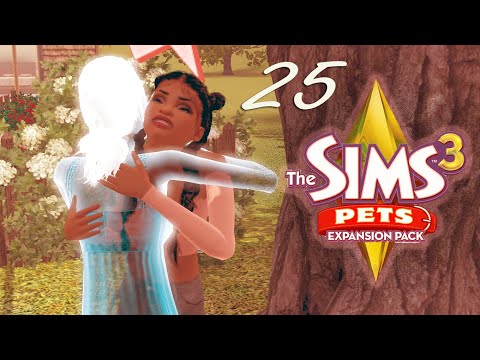 Video: Sims 3