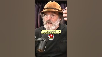 STOP STUTTERING in 1 Simple Step - Paul Stamets Mushroom Trip