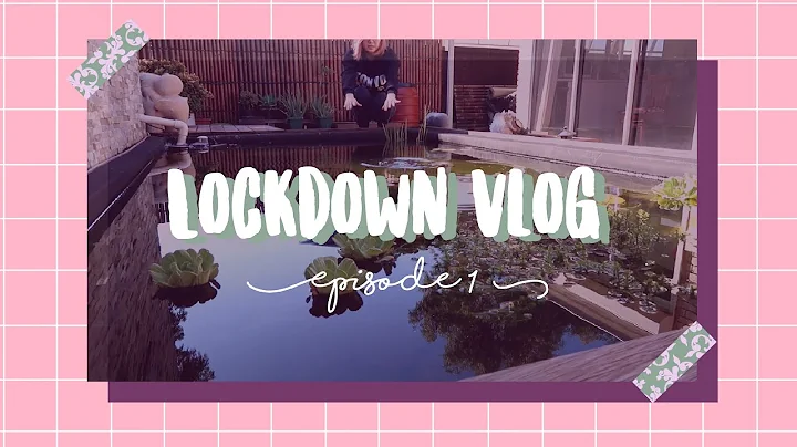 what i do in a day | Lockdown Vlog | #1 | Sarah Si...