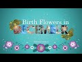 Korean Birth Flowers for December