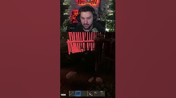 He slugged them both #rust #krolay