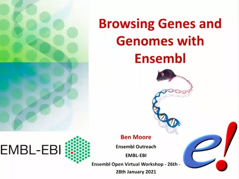 Virtual Workshop - The Ensembl Genome Browser - (2021): Webinar 1 - Introduction