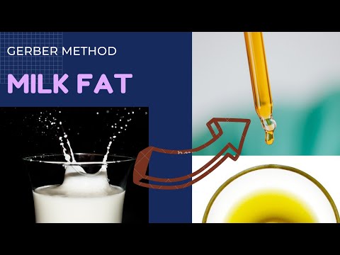 Video: What Is The Fat Percentage Of Natural Milk