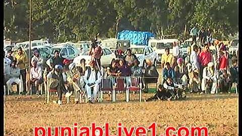 samrala derby dog racing 2013 14 part 4 by punjabLive1 com