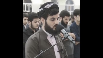 القارئ/ رعد الكردي - سورة يونس [59 - 60]