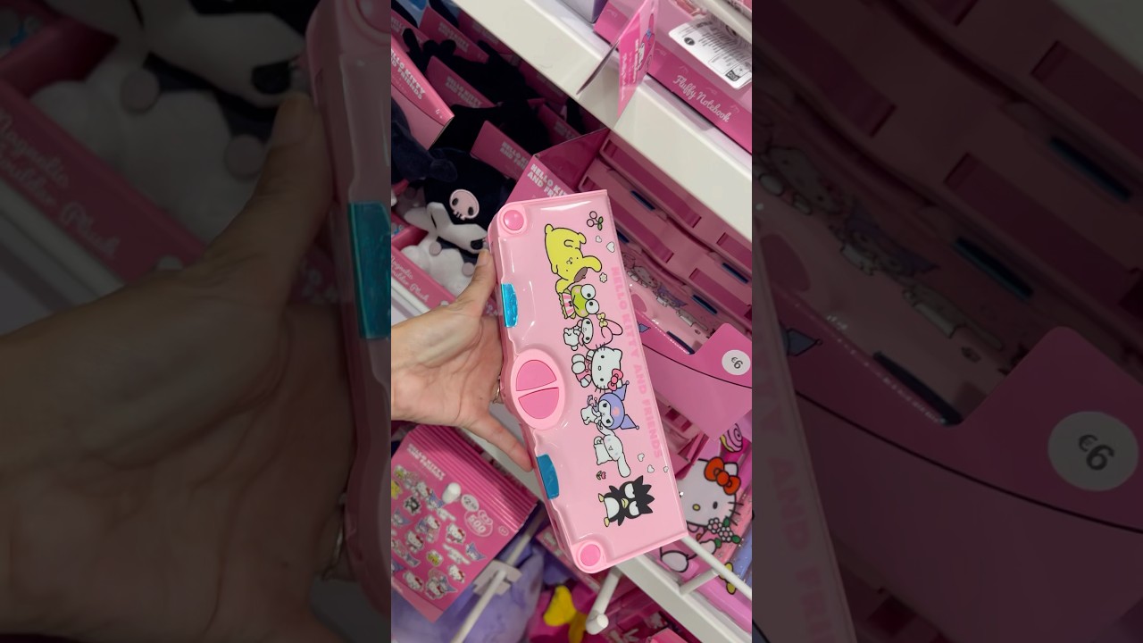 Hello Kitty & friends pen case 