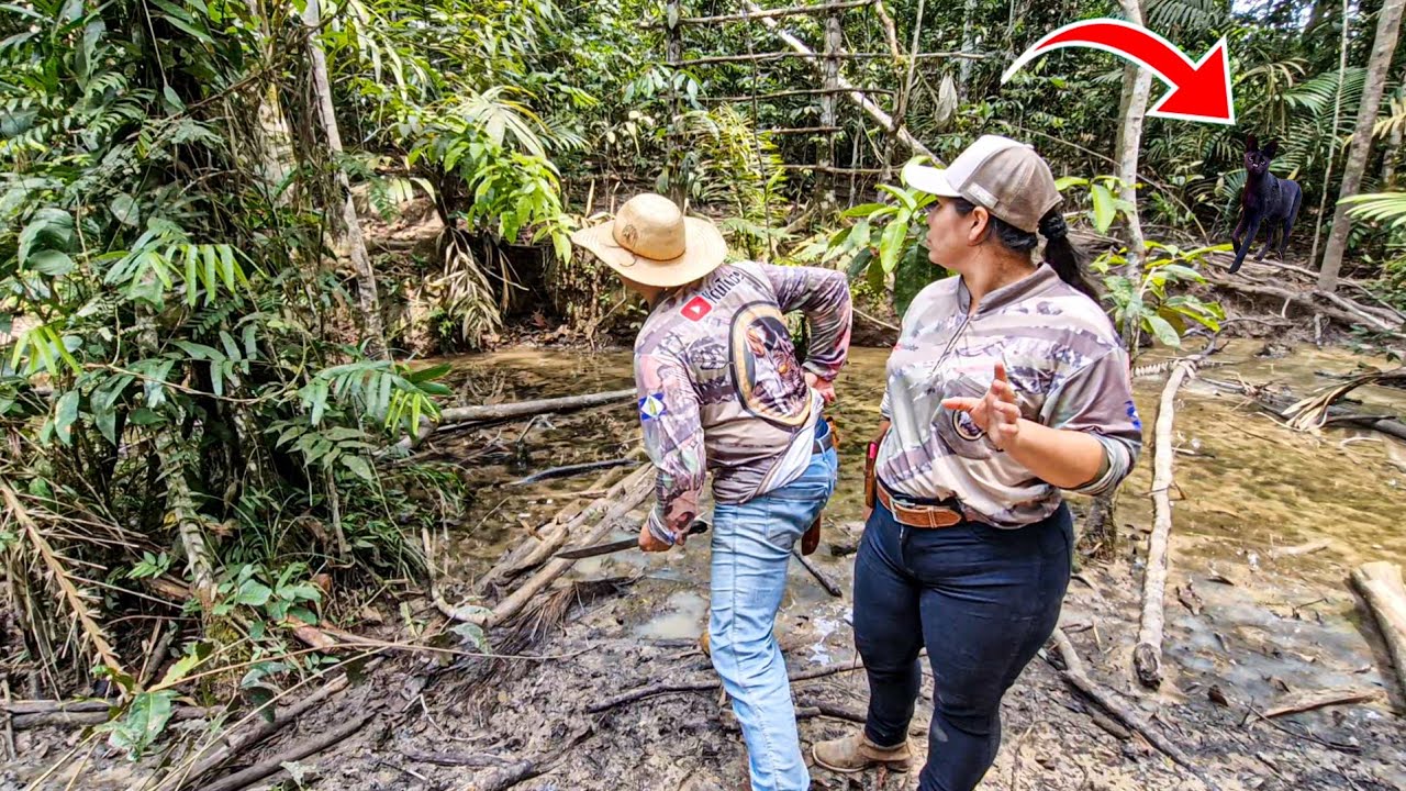 FOMOS SURPREENDIDO NO BARREIRO POR ANIMAL ESTRANHO O MEDO TOMOU CONTA