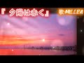BANTV 『 #夕陽は赤く 』cover~ #MILLEA  #加山雄三