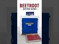 How to Dry Beetroot in Food Dryer Machine | Sekoza Dehydrator Demo