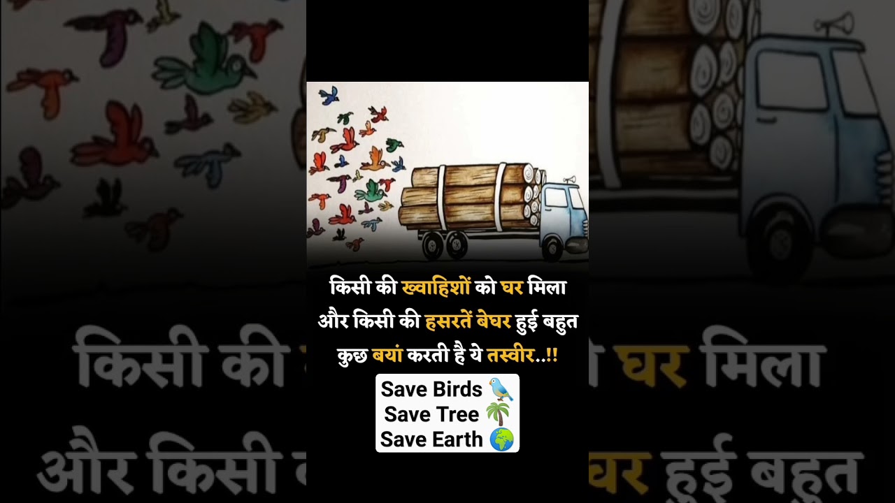 Save Birds 🕊️ // Save Earth 🌍 
