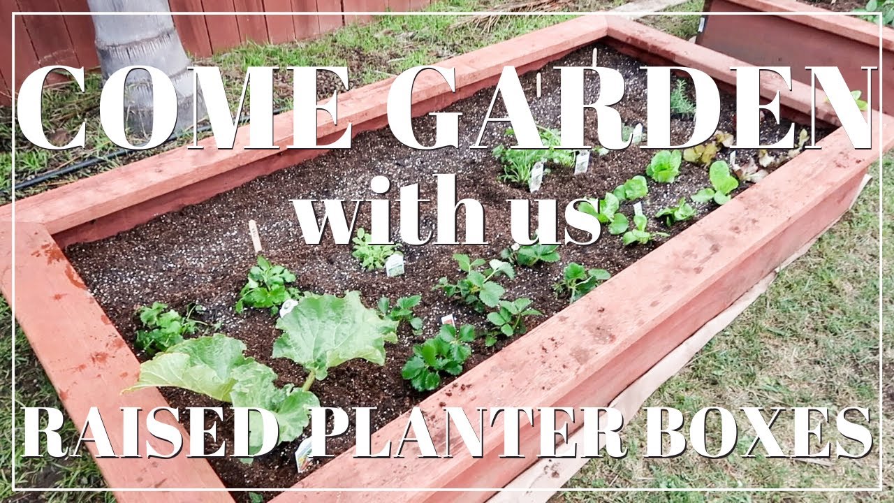COME GARDEN WITH US: Raised Planter Boxes