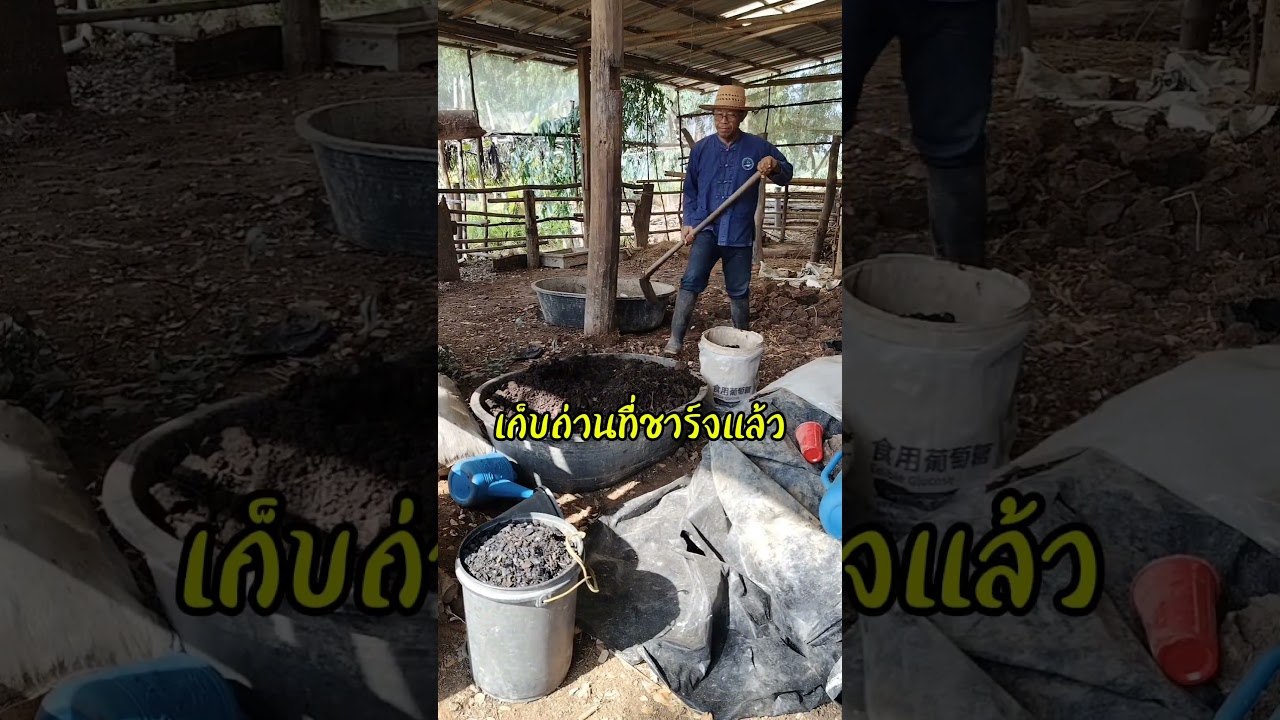เก็บวัสดุปรุงดิน #farming #nature #garden