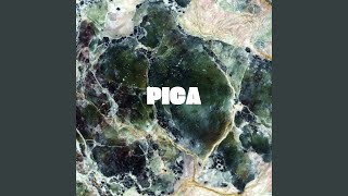 Pica - TENDENCIA DJ