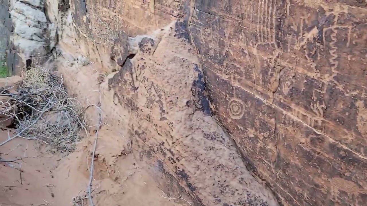 Hidden petroglyph panel