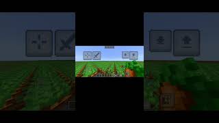 сажаю морковку день 212