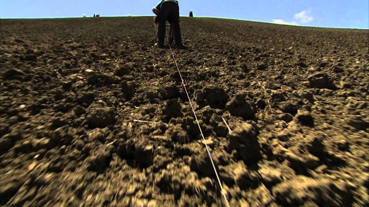 Le Luxe Rural par/by Jacques Ohron (versión completa)