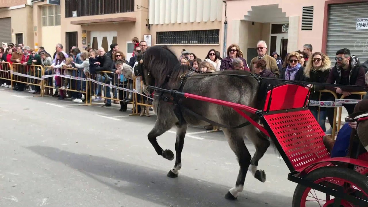 2018 11 2 SANT ANTONI DE MASSANASSA