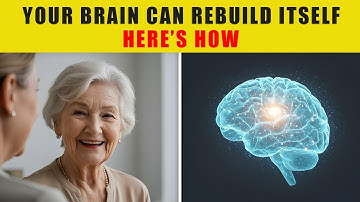 Rebuilding the Aging Brain: How Connection Reverses Memory Decline