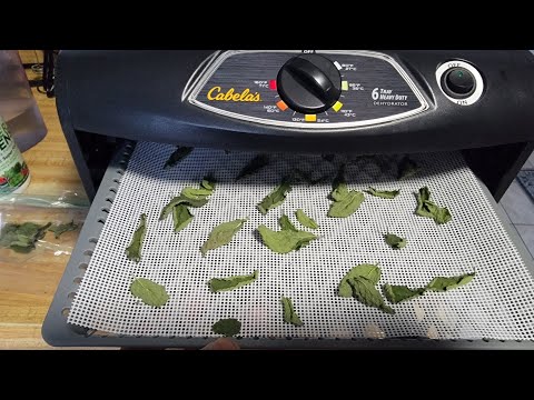 Testing my New Dehydrator Cabela's