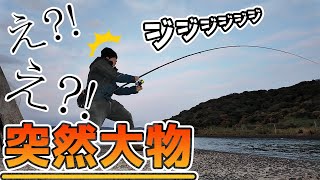 港内でヒラメ狙いのはずが突然巨大魚喰ってきてドラグ出っ放し…