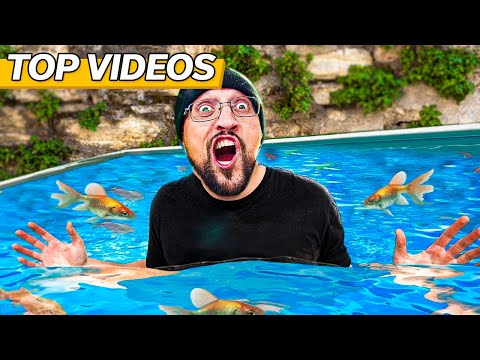 Most EPIC OUTDOOR Challenges You Can’t Miss! | FV Family Top Videos