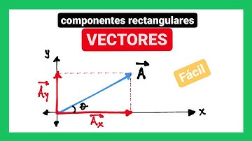 Componentes rectangulares de un vector | Qué son y cómo hallarlas