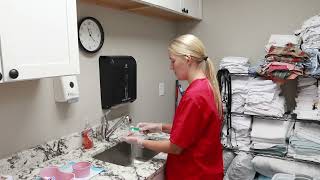 GEORGIA CNA SKILLS EXAM: CLEANS UPPER OR LOWER DENTURE