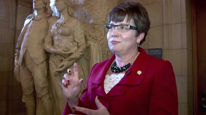 Senator Carla Nelson Talks DMC
