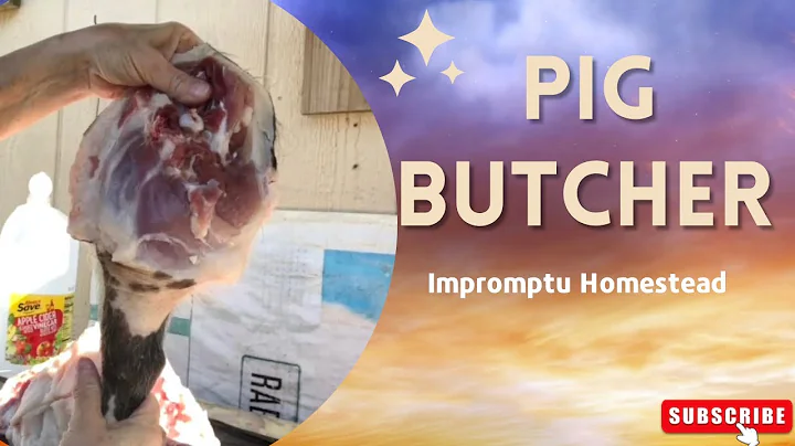 Pig Butcher - Vlog #32