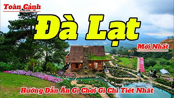 Toàn Cảnh Đà Lạt 2025 | Hướng Dẫn Ăn Gì Chơi Gì Tại Đà Lạt Chi Tiết Và Mới Nhất