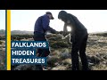 Falklands conflict: The hidden treasures of Tumbledown and Harriet