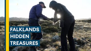 Falklands conflict: The hidden treasures of Tumbledown and Harriet