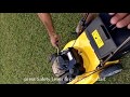 Video Image