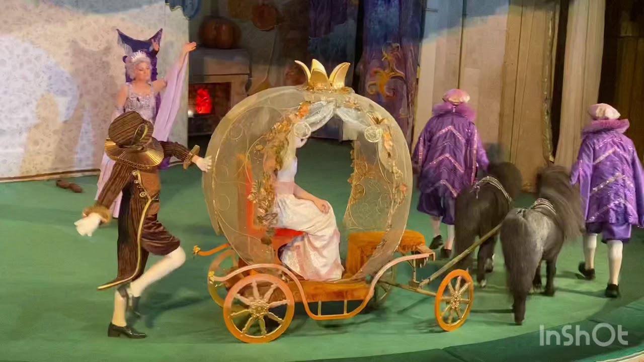 14.11.2020. День рождения Даниэлы Шляхтовой. 4 Года. Уголок дедушки Дурова