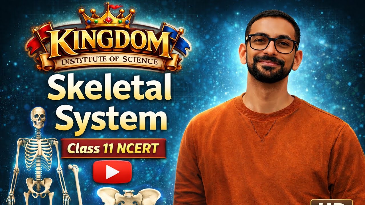 Pelvic Girdle | Joints | Disorders | Human Skeletal System | Biology | Class 11 | NCERT | L-06