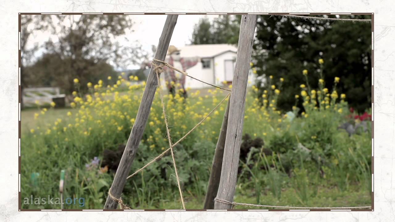 Alaska.org - Creamer's Field Migratory Waterfowl Refuge
