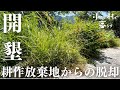 【激変】十数年放置された花壇を畑にしました EcoFlow DELTA Pro 3 #60