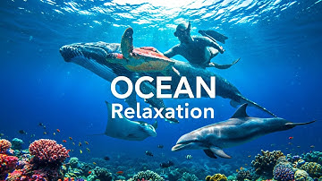 Stop Overthinking, Deep Sleep Music, Recover Your Nervous System, Beautiful Relaxing Music🌿