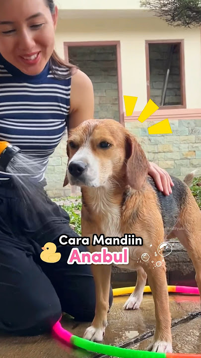 CARA MANDIIN ANABUL‼️😍 #anjinglucu #shorts