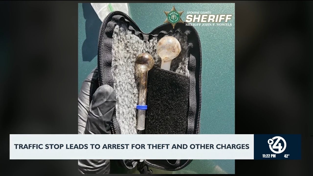 Traffic stop leads to arrest for theft and other charges - YouTube