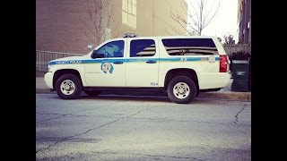 Celebrity What You Should Do When Pulled Over by the Police: tips & tricks to avoid arrest Profile
