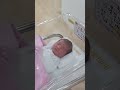 2025.06.04 수욜 저녁✨️ (사실 울보인 동동)