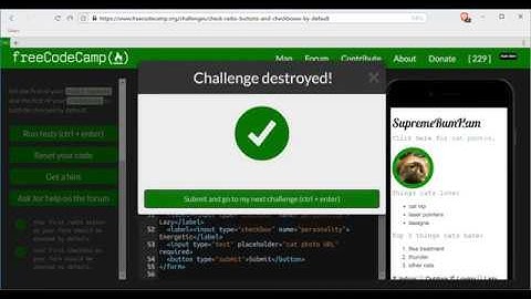 Check Radio Buttons and Checkboxes by Default- freeCodeCamp HTML5 and CSS lesson #33