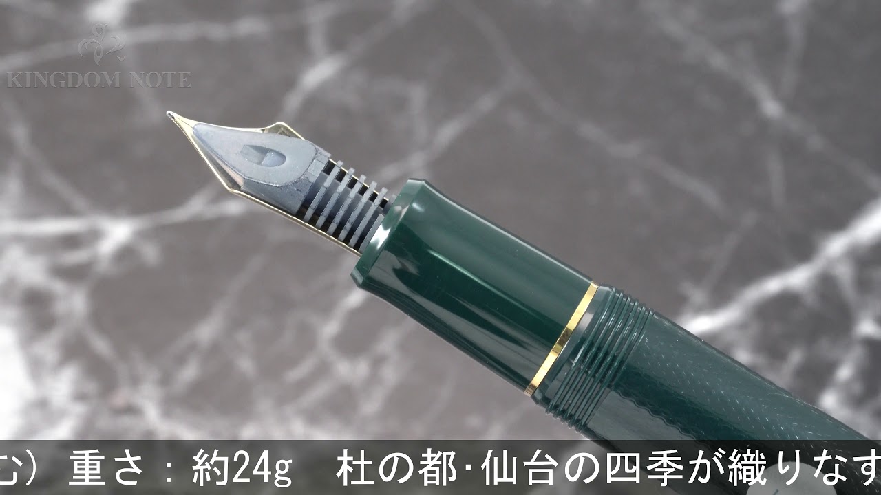 PILOT パイロット 万年筆 文具の杜オリジナル 10周年記念 カスタム742