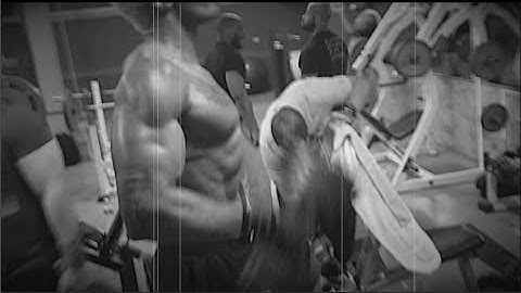 WEBSITE INTRO - WWW.THEANIMALSHADOW.COM