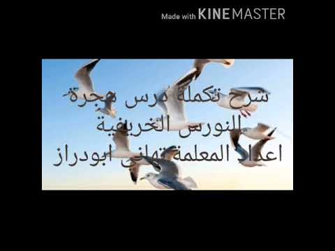 شرح تكملة الجزء الثالث والاخير من درس هجرة النورس الخريفية اعداد المعلمة تهاني ابودراز 