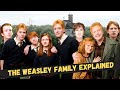 The entire weasley family and their home  explained in hindi