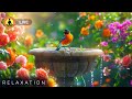 🔴 Calming Music for Anxiety, Healing Meditation Music, Spring Garden Ambience, Birds Singing, Nature
